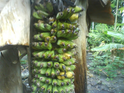 DSC00005.JPG