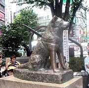 patungnya.htm