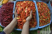Harga pangan Senin, cabai rawit merah turun jadi Rp79.756 per kg