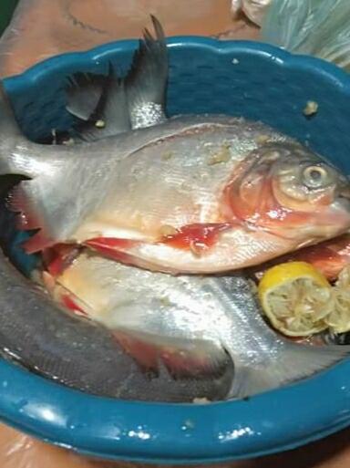 Apa Kabar Harga Belanja Dapur Hari ini?