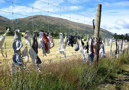 bra-fence.jpg