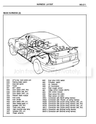 elantra.jpg