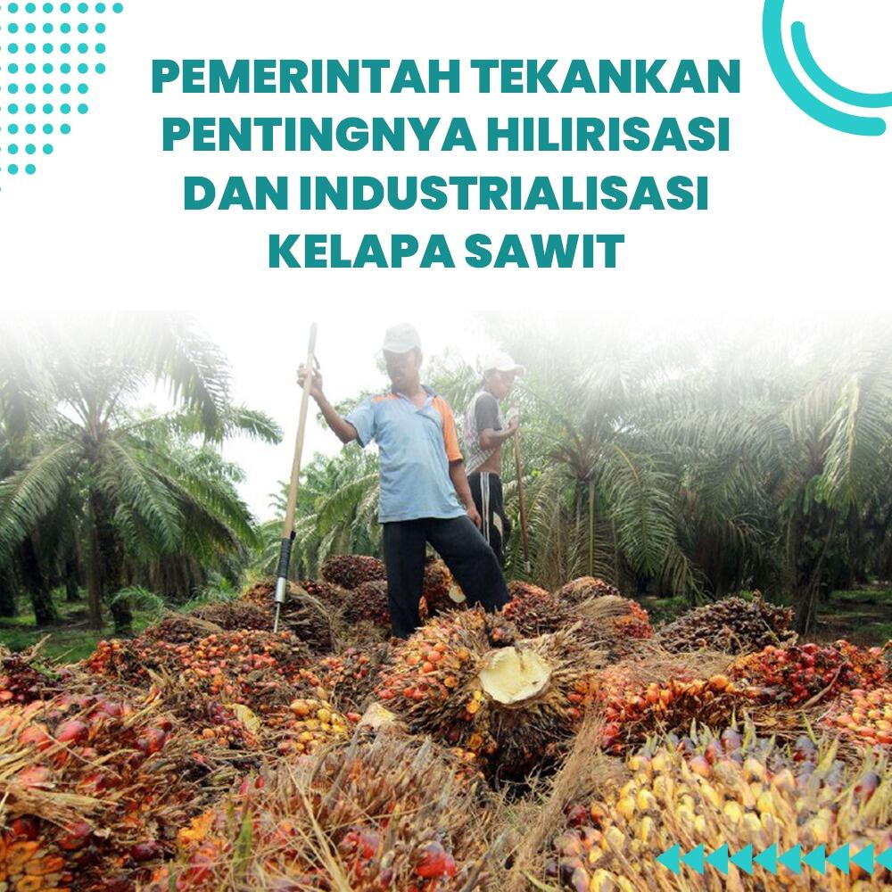 Pemerintah Tekankan Pentingnya Hilirisasi Kelapa Sawit