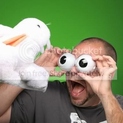 316773.jpg