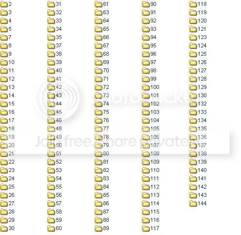 145excellentsnapshootpreviewfolder.jpg