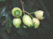 d837f619799794.gif