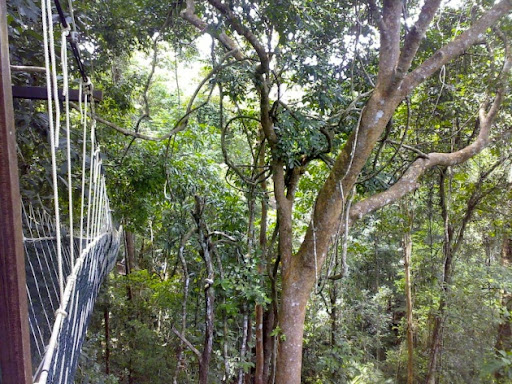 taman2.jpg