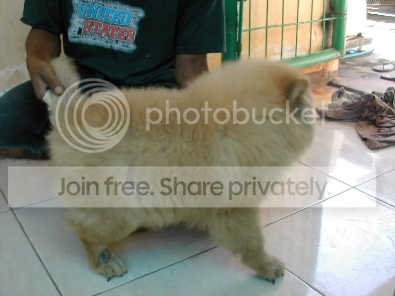 DSCN4361.jpg