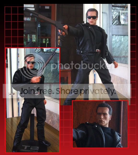 T2.jpg