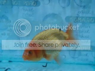 P5280020_resize_resize.jpg