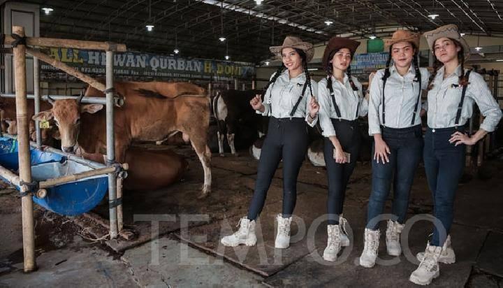 SPG Hewan Qurban, Cantik Dan Seksi