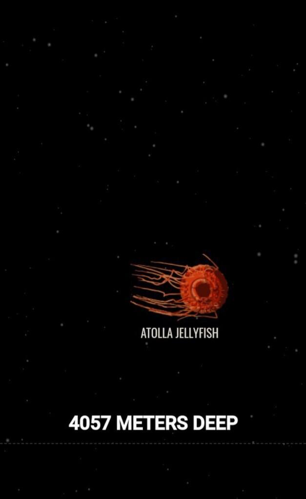 Ini Dia Ilustrasi Dalamnya Laut yg Begitu Menyeramkan [Warning : Sangat Dalam]