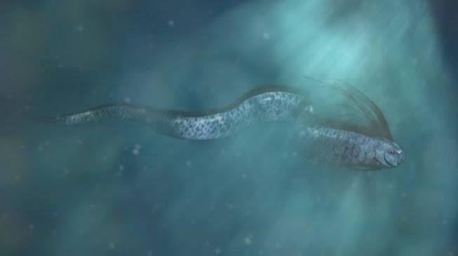 Oarfish! Penghuni Laut Pertanda Bencana! Apa Benar?!!!