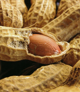 peanut2.jpg