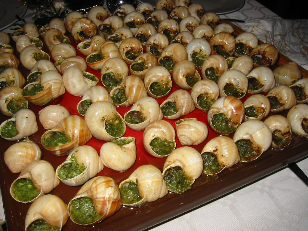 Escargot_de_Bourgogne_02.jpg