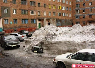 snowday-11.jpg