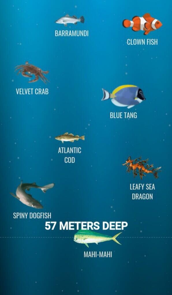 Ini Dia Ilustrasi Dalamnya Laut yg Begitu Menyeramkan [Warning : Sangat Dalam]