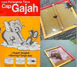 JEBAKAN TIKUS, METODE PEMBUNUH NYAWA VS PENGHENTI AKTIVITAS