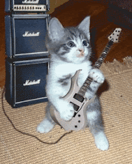 1120.gif