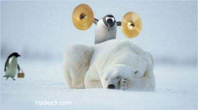 funny.photo.1238.jpg