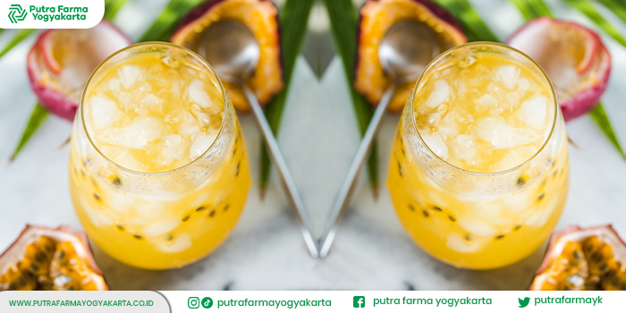 www.putrafarmayogyakarta.co.id