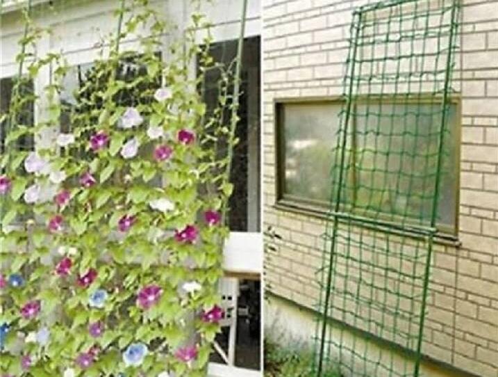 Tips Bagus, Meredam Suara Bising Rumah Dipinggir Jalan (Share Pengalaman)