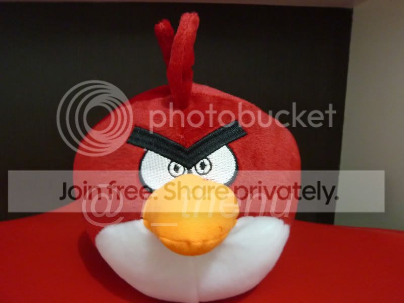 RedAngryBird.jpg