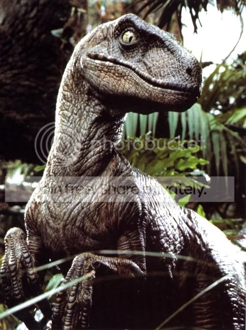 velociraptor.jpg