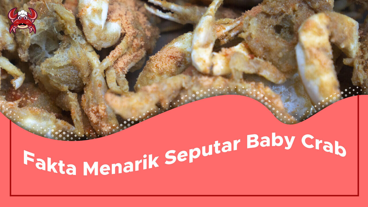 Fakta Menarik Seputar Baby Crab