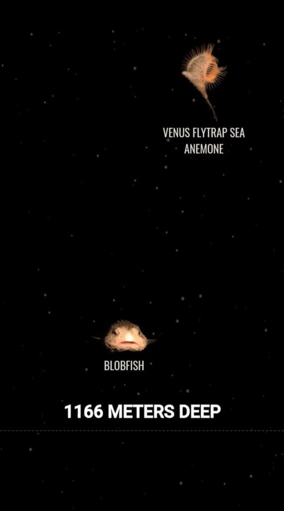 Ini Dia Ilustrasi Dalamnya Laut yg Begitu Menyeramkan [Warning : Sangat Dalam]