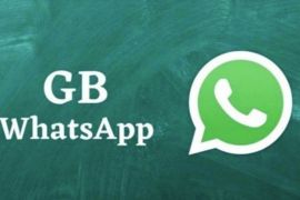 WhatsApp GB, ini penjelasan, keunggulan, & risikonya