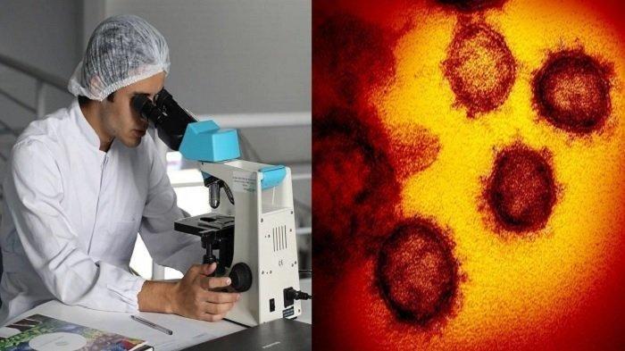 Apa Sebenarnya di Balik Covid-19?