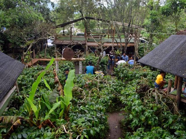Seladang | Sensasi Ngopi Langsung DiKebunnya