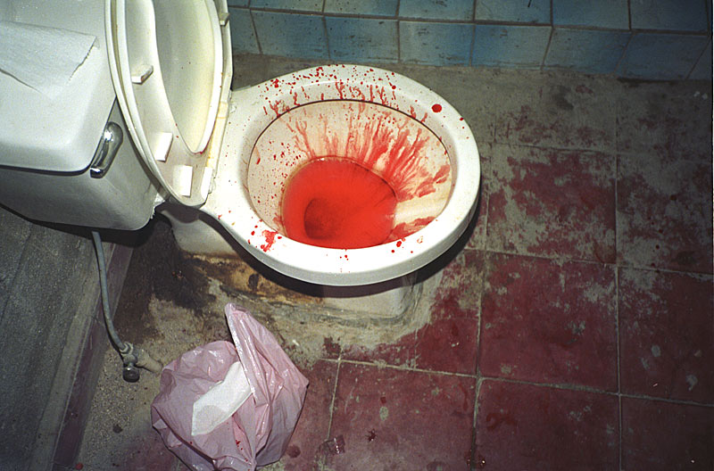 toilet.jpg