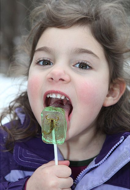 insect_candy_05.jpg