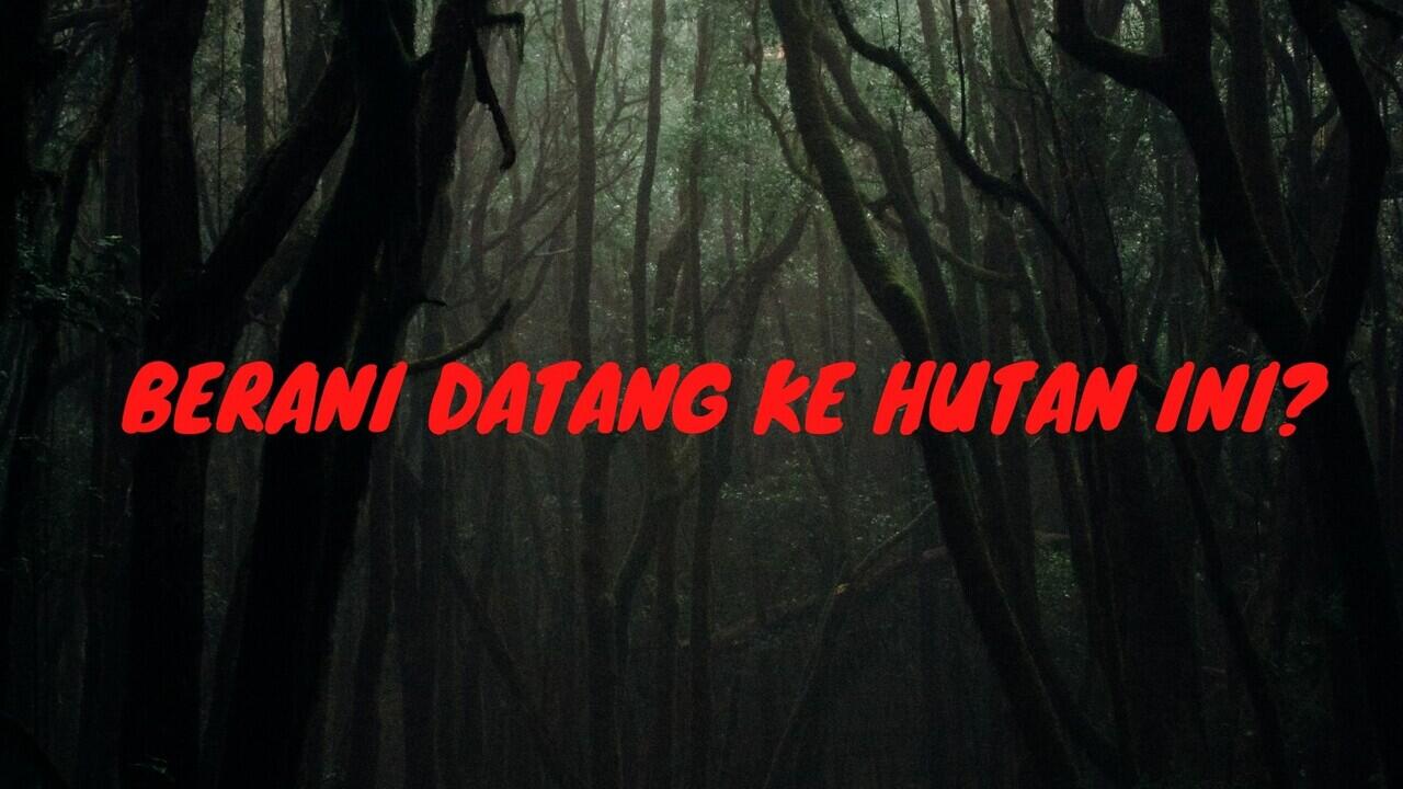 Berani Ke Hutan Ini?