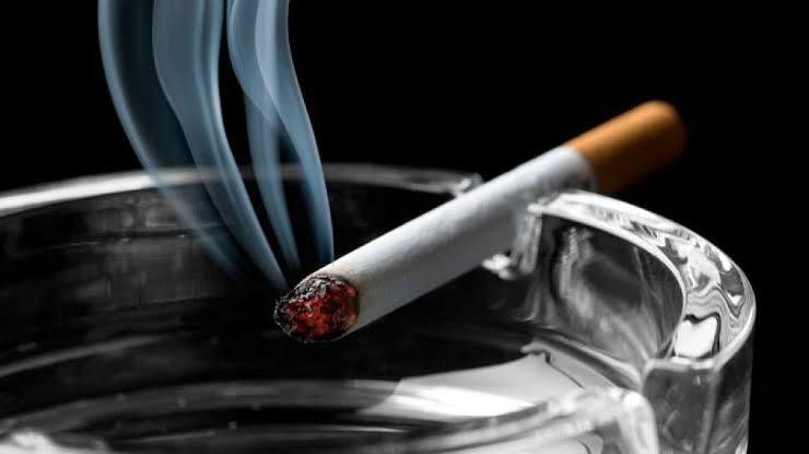Filosofi Rokok