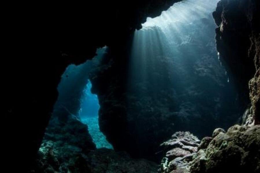 10 Fakta Tentang Palung Mariana 
