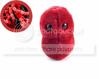 bacteria_sorethroat-tonsillitis.png