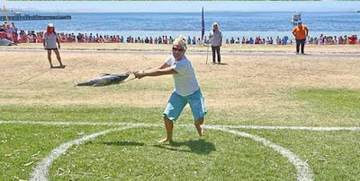 3167.jpg