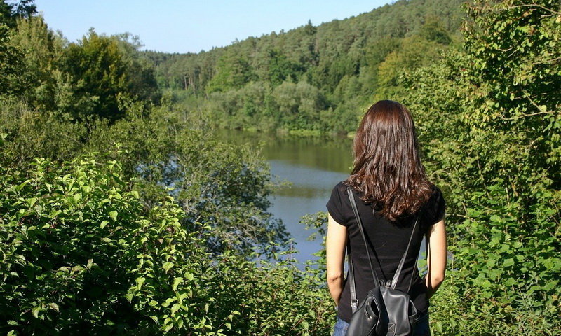 paseban-healing-forest-6.jpeg