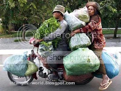 vegetables.jpg
