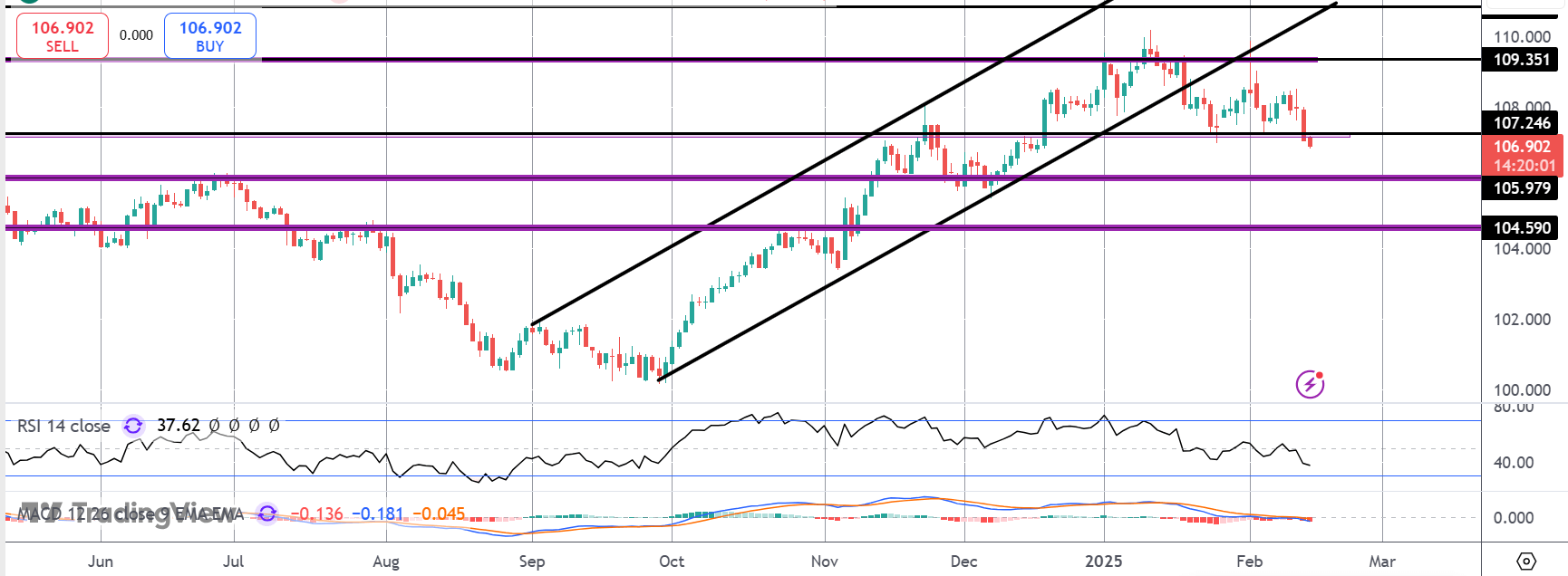 dxy1-(11).png