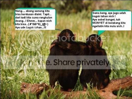 monyet.jpg