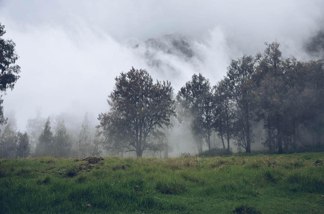 Berani Ke Hutan Ini?