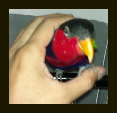 WEdHT.jpg