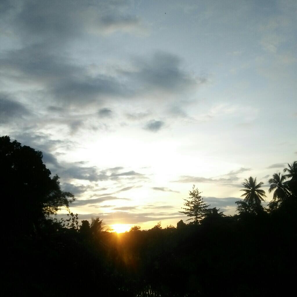 Logika Dan Rasa, Apakah Bisa Berjalan Beriringan?