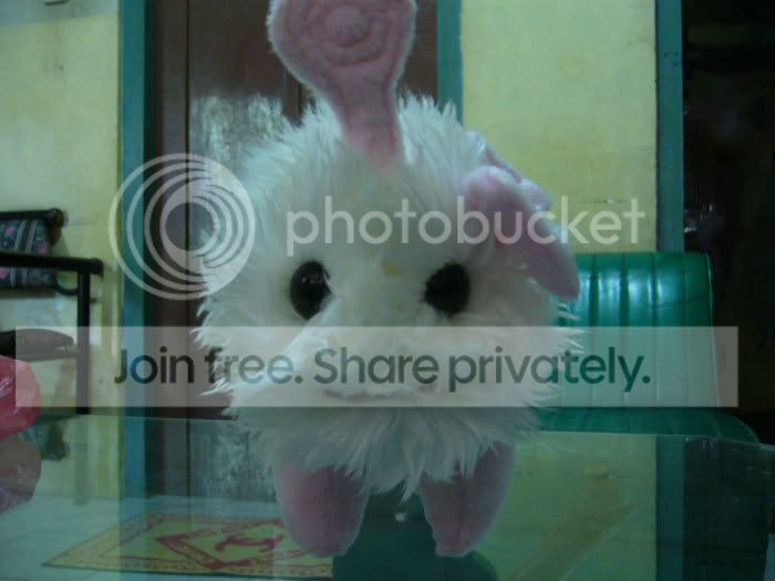 showphp3.jpg