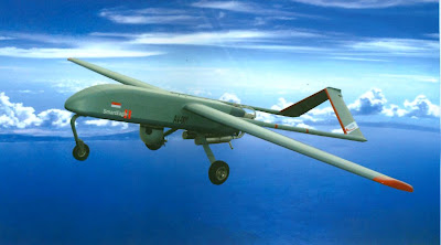SmartEagleII.jpg