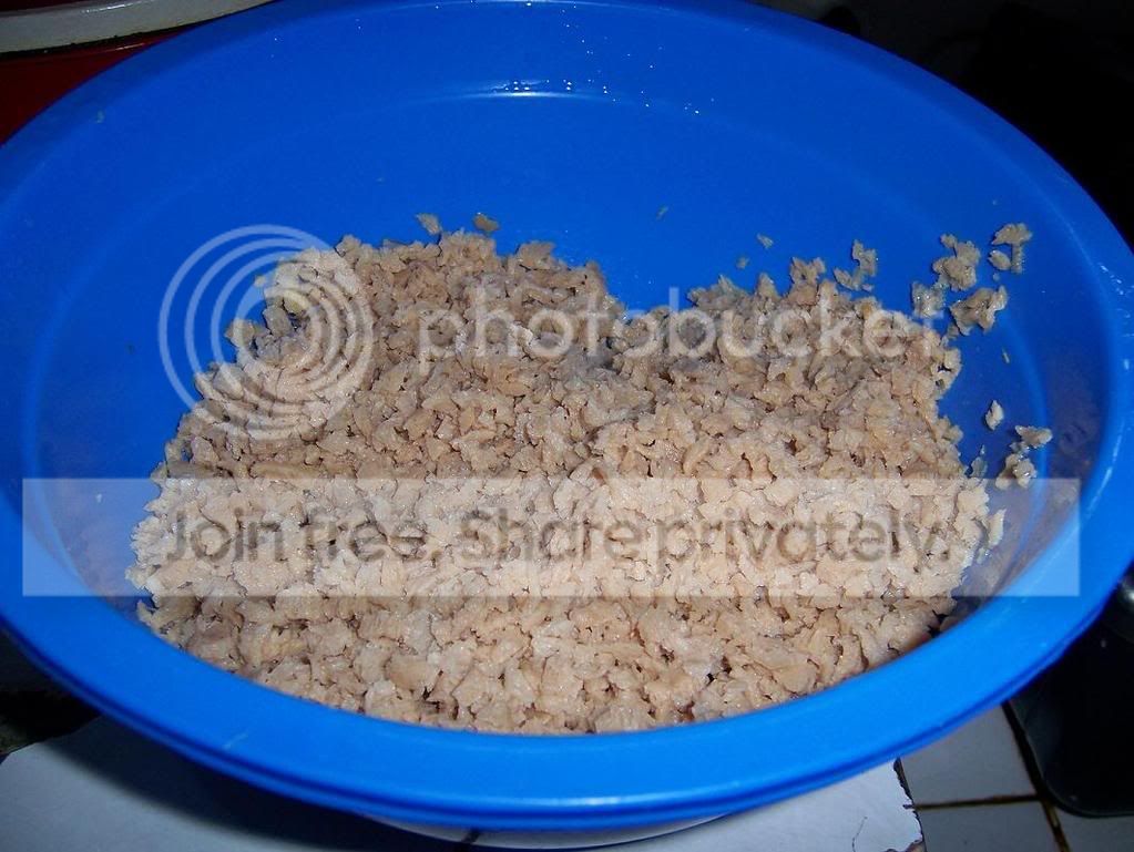 TVP_basah3.jpg